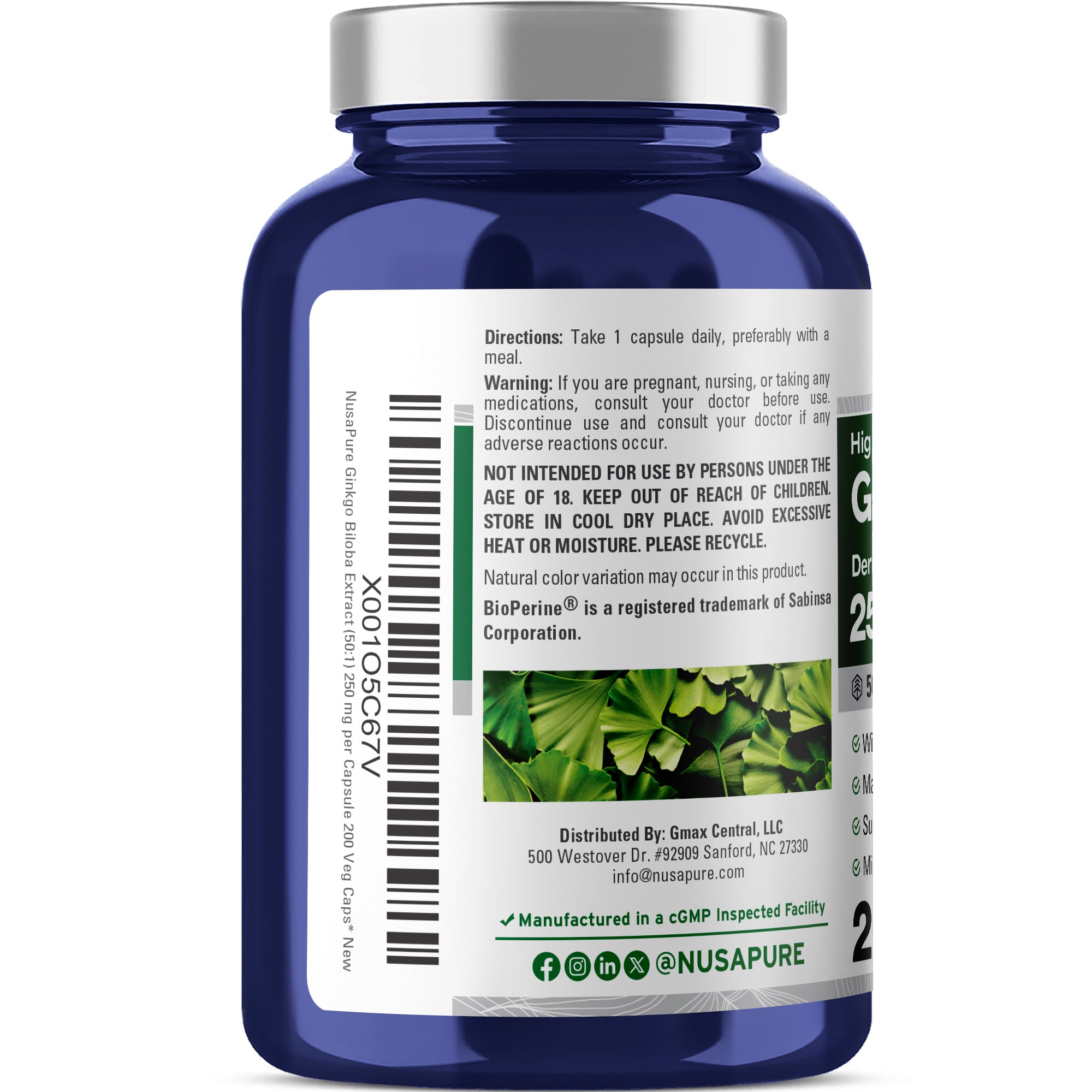 NusaPure Ginkgo Biloba 50:1 Extract, 250 mg per Veggie Caps 200 Capsules (Vegetarian, Non-GMO, Vegan) Bioperine